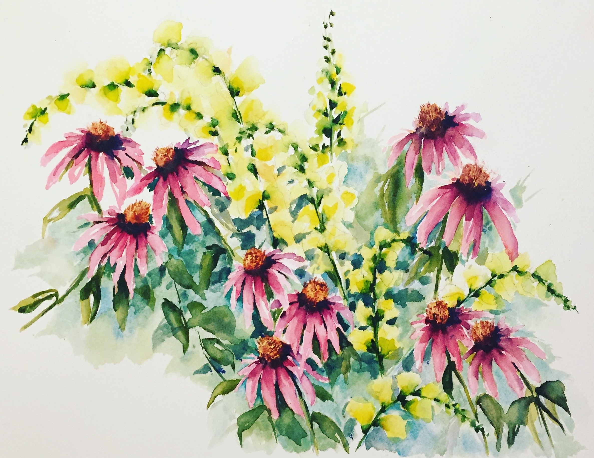  Watercolor echinacea & snapdragons painted by me // Summer 2017 